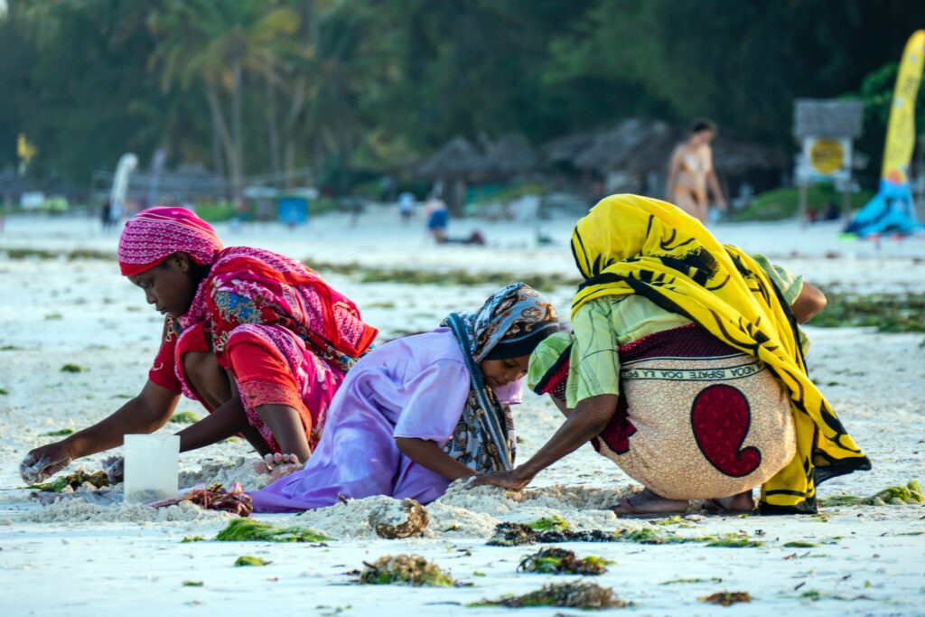 Women foraging on the beach in Zanzibar. Being respective of cultures around the world can be very healing to your life. 